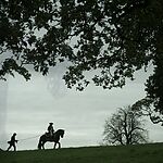 Filename=OUTLANDER_-_E3X03_ALL_DEBTS_PAID_1133.jpg
Filesize=1031KiB
Dimensions=1920x1088
Date added=Jul 11, 2022 OUTLANDER_-_E3X03_ALL_DEBTS_PAID_1133.jpg