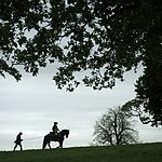 Filename=OUTLANDER_-_E3X03_ALL_DEBTS_PAID_1135.jpg
Filesize=1135KiB
Dimensions=1920x1088
Date added=Jul 11, 2022 OUTLANDER_-_E3X03_ALL_DEBTS_PAID_1135.jpg