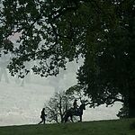 Filename=OUTLANDER_-_E3X03_ALL_DEBTS_PAID_1143.jpg
Filesize=1232KiB
Dimensions=1920x1088
Date added=Jul 11, 2022 OUTLANDER_-_E3X03_ALL_DEBTS_PAID_1143.jpg