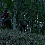Filename=OUTLANDER_-_E3X03_ALL_DEBTS_PAID_1149.jpg
Filesize=1411KiB
Dimensions=1920x1088
Date added=Jul 11, 2022 OUTLANDER_-_E3X03_ALL_DEBTS_PAID_1149.jpg