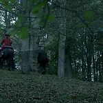 Filename=OUTLANDER_-_E3X03_ALL_DEBTS_PAID_1154.jpg
Filesize=1441KiB
Dimensions=1920x1088
Date added=Jul 11, 2022 OUTLANDER_-_E3X03_ALL_DEBTS_PAID_1154.jpg