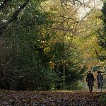 OUTLANDER_-_E3X04_OF_LOST_THINGS_528.jpg