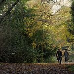 Filename=OUTLANDER_-_E3X04_OF_LOST_THINGS_535.jpg
Filesize=1803KiB
Dimensions=1920x1088
Date added=Jul 11, 2022 OUTLANDER_-_E3X04_OF_LOST_THINGS_535.jpg