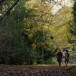 Filename=OUTLANDER_-_E3X04_OF_LOST_THINGS_537.jpg
Filesize=1829KiB
Dimensions=1920x1088
Date added=Jul 11, 2022 OUTLANDER_-_E3X04_OF_LOST_THINGS_537.jpg