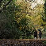Filename=OUTLANDER_-_E3X04_OF_LOST_THINGS_538.jpg
Filesize=1784KiB
Dimensions=1920x1088
Date added=Jul 11, 2022 OUTLANDER_-_E3X04_OF_LOST_THINGS_538.jpg