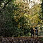 Filename=OUTLANDER_-_E3X04_OF_LOST_THINGS_540.jpg
Filesize=1793KiB
Dimensions=1920x1088
Date added=Jul 11, 2022 OUTLANDER_-_E3X04_OF_LOST_THINGS_540.jpg