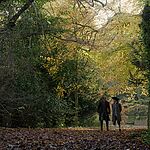 OUTLANDER_-_E3X04_OF_LOST_THINGS_546.jpg