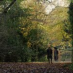 OUTLANDER_-_E3X04_OF_LOST_THINGS_547.jpg