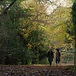 Filename=OUTLANDER_-_E3X04_OF_LOST_THINGS_550.jpg
Filesize=1805KiB
Dimensions=1920x1088
Date added=Jul 11, 2022 OUTLANDER_-_E3X04_OF_LOST_THINGS_550.jpg