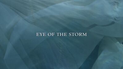 OUTLANDER_-_E3X13_EYE_OF_THE_STORM_005.jpg