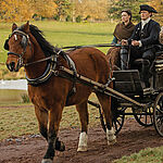 Filename=2021_-_EW_ULTIMATE_GUIDE_TO_OUTLANDER_084.jpg
Filesize=542KiB
Dimensions=1506x2047
Date added=Apr 08, 2022 2021_-_EW_ULTIMATE_GUIDE_TO_OUTLANDER_084.jpg